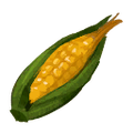 corn