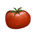 tomato